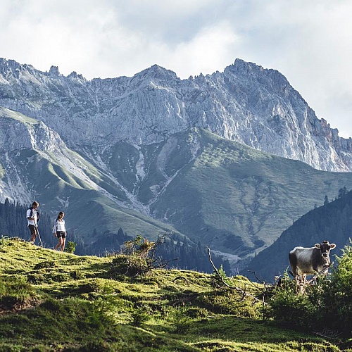 Hiking holiday at the Seefelder plateau